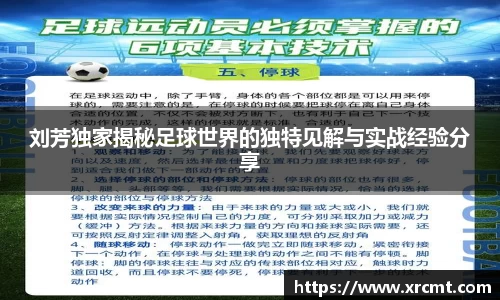 刘芳独家揭秘足球世界的独特见解与实战经验分享