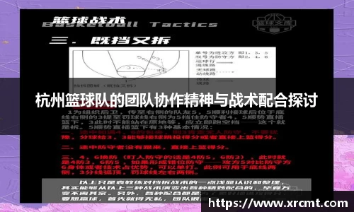 杭州篮球队的团队协作精神与战术配合探讨